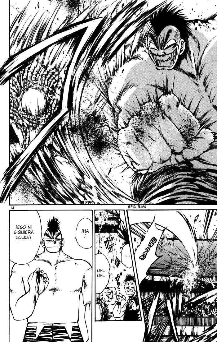 Capitulo 97 page 14