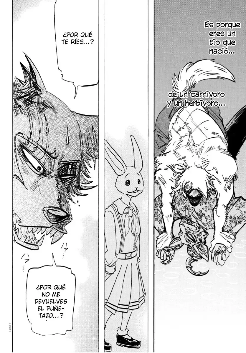 Capitulo 184 page 12
