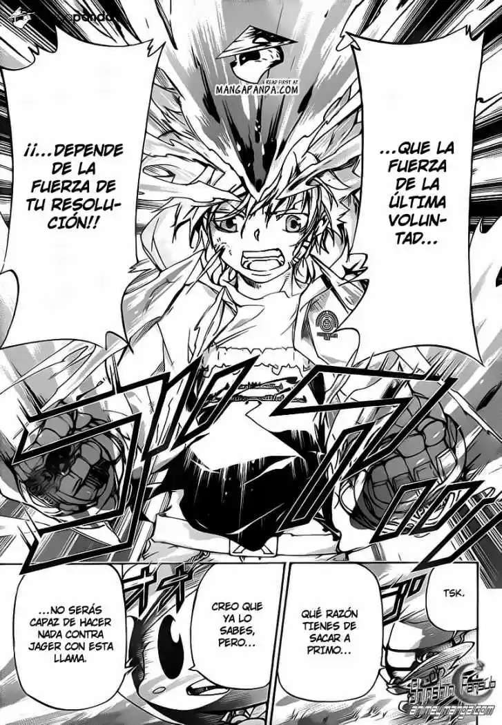 Capitulo 393 page 13