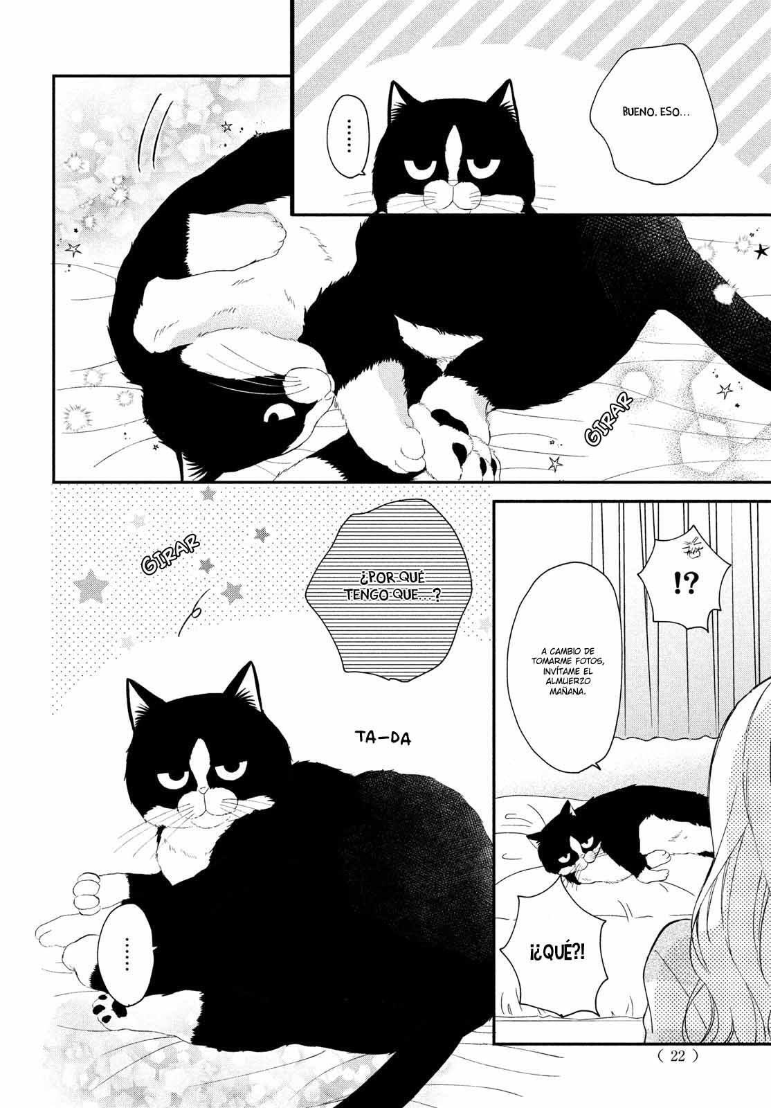 Capitulo 5 page 12