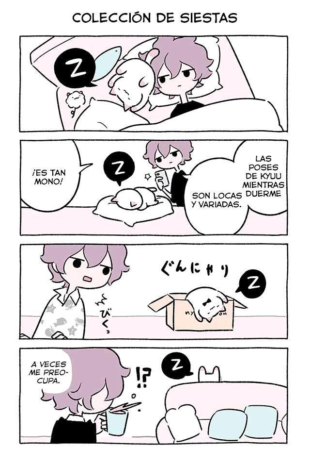Capitulo 337.50 page 2