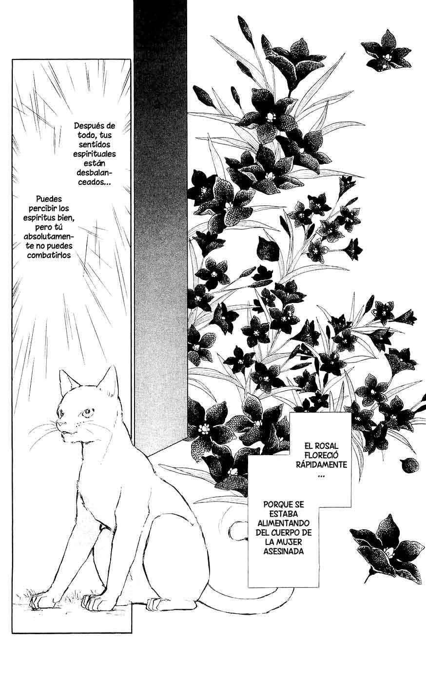 Capitulo 1 page 53