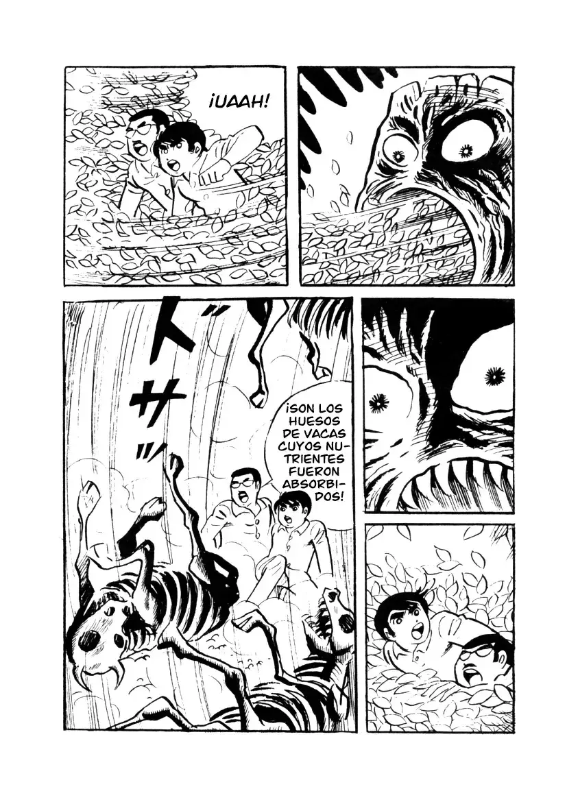 Capitulo 2 page 48