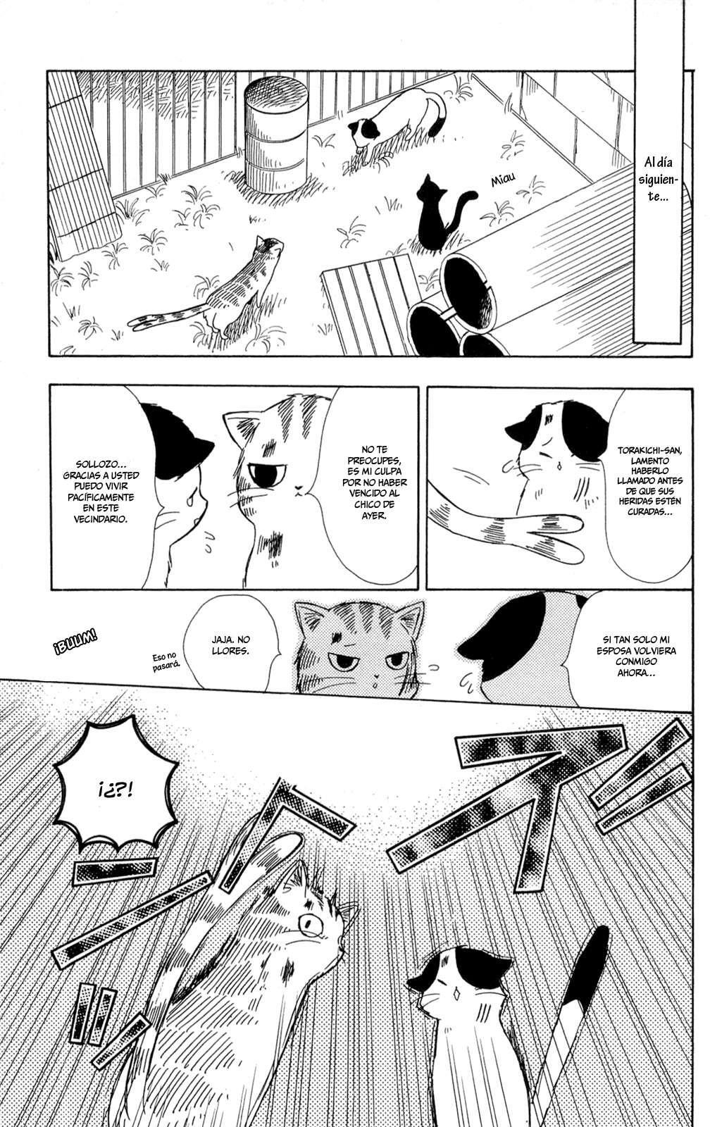 Capitulo 2 page 11