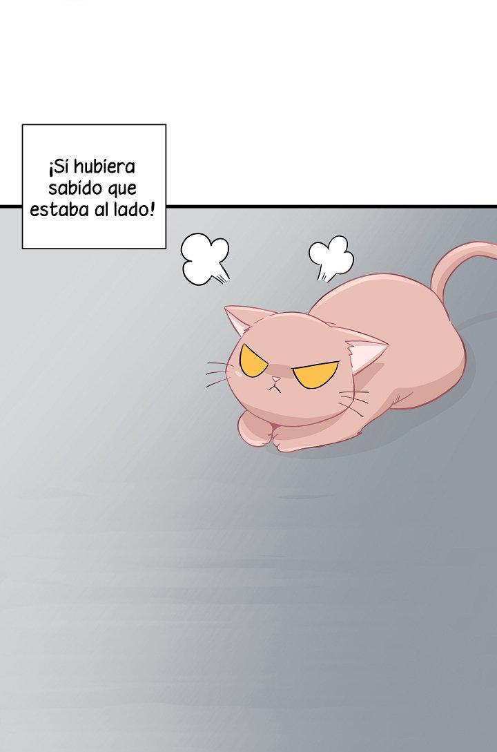 Capitulo 6 page 5