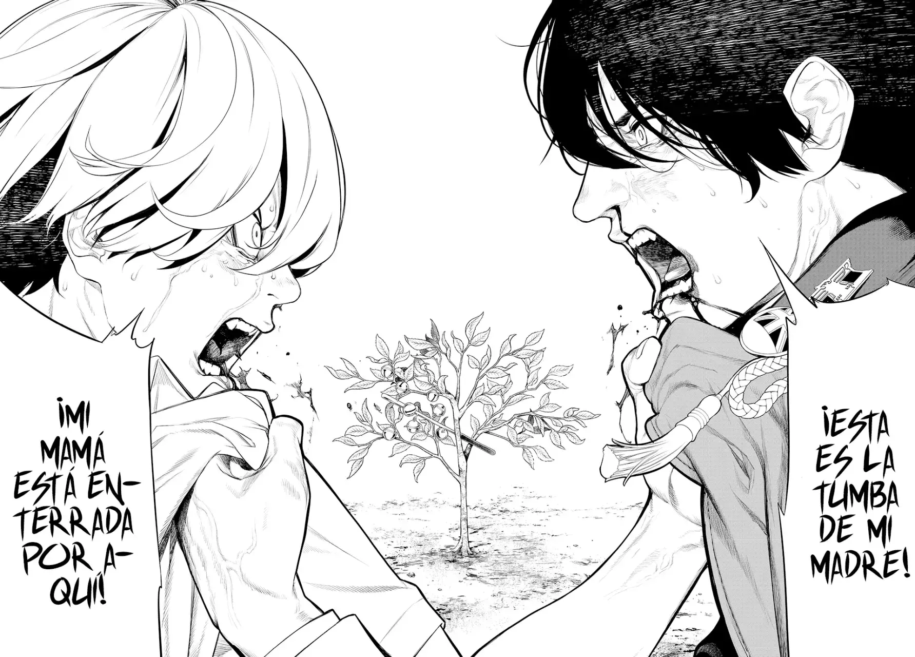 Capitulo 2 page 35