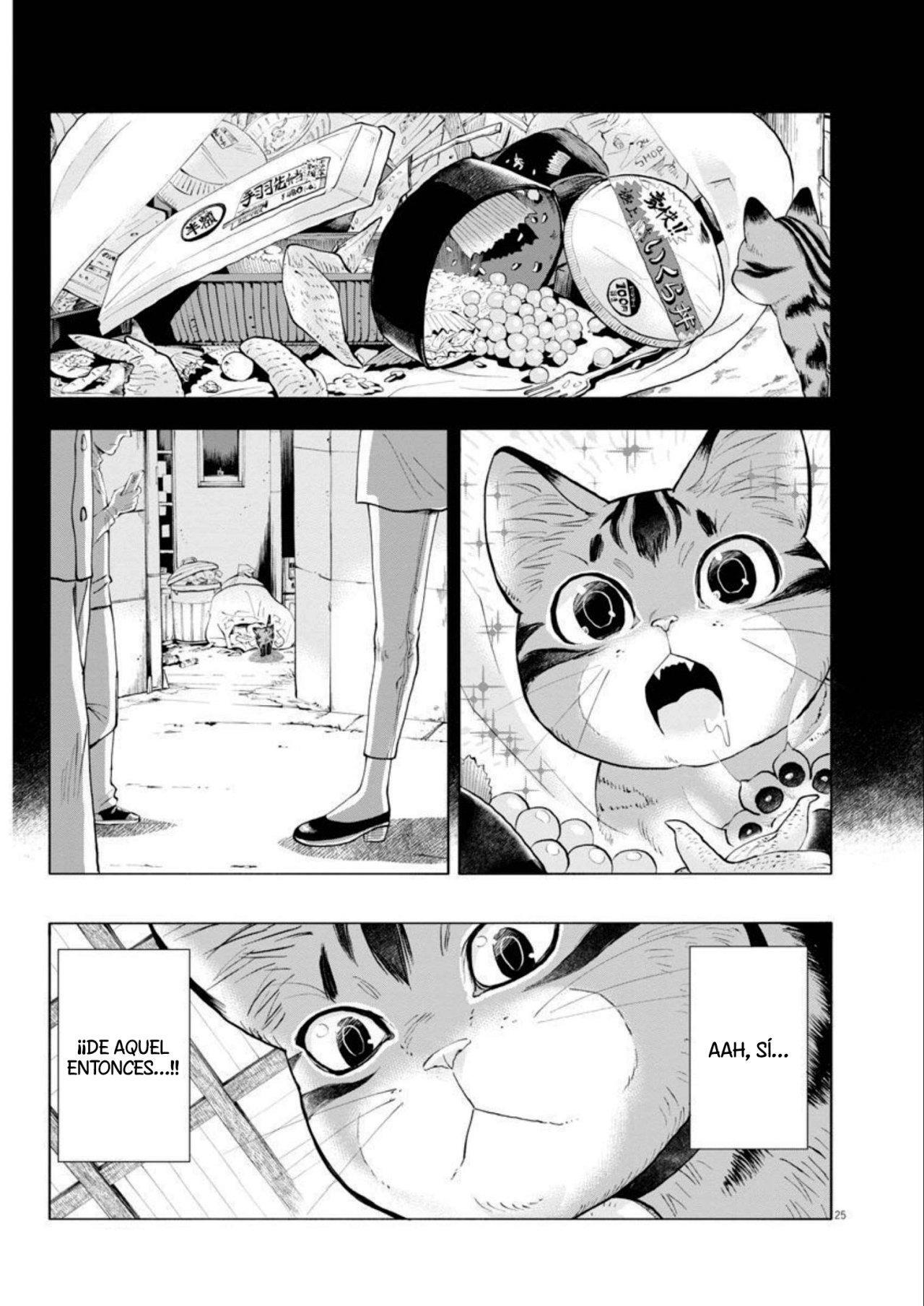 Capitulo 2 page 25