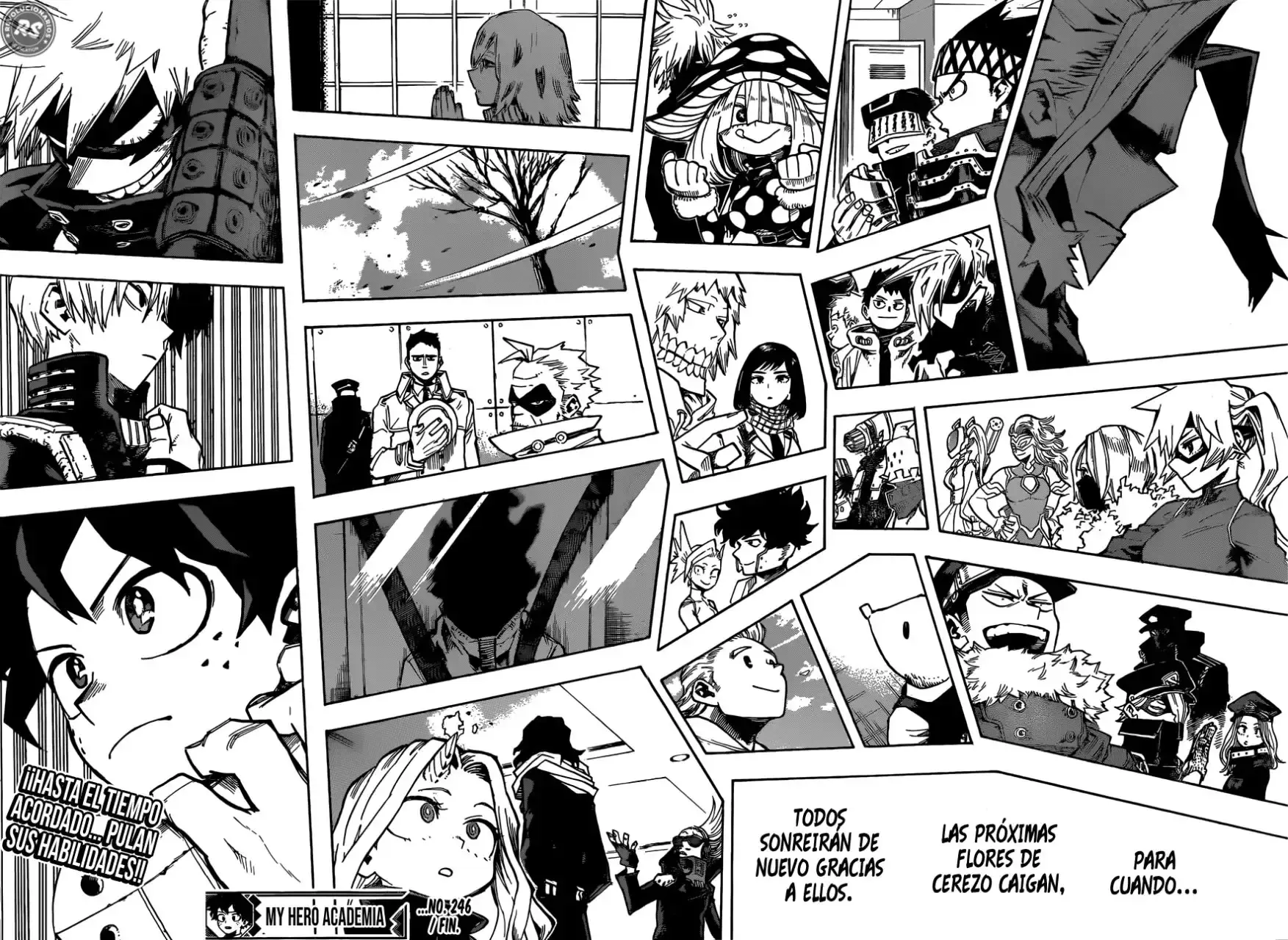 Capitulo 246 page 15
