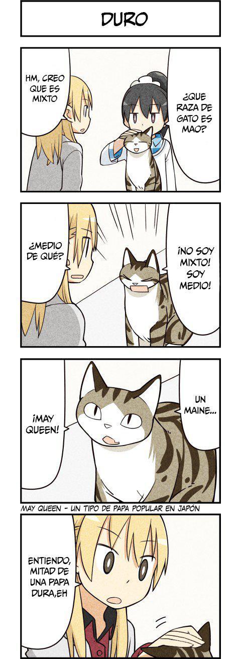 Capitulo 15 page 4