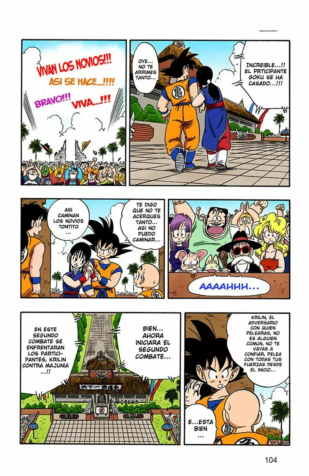 Capitulo 171 page 14