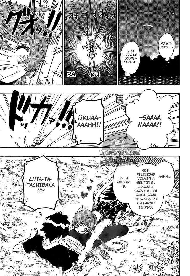 Capitulo 219 page 12