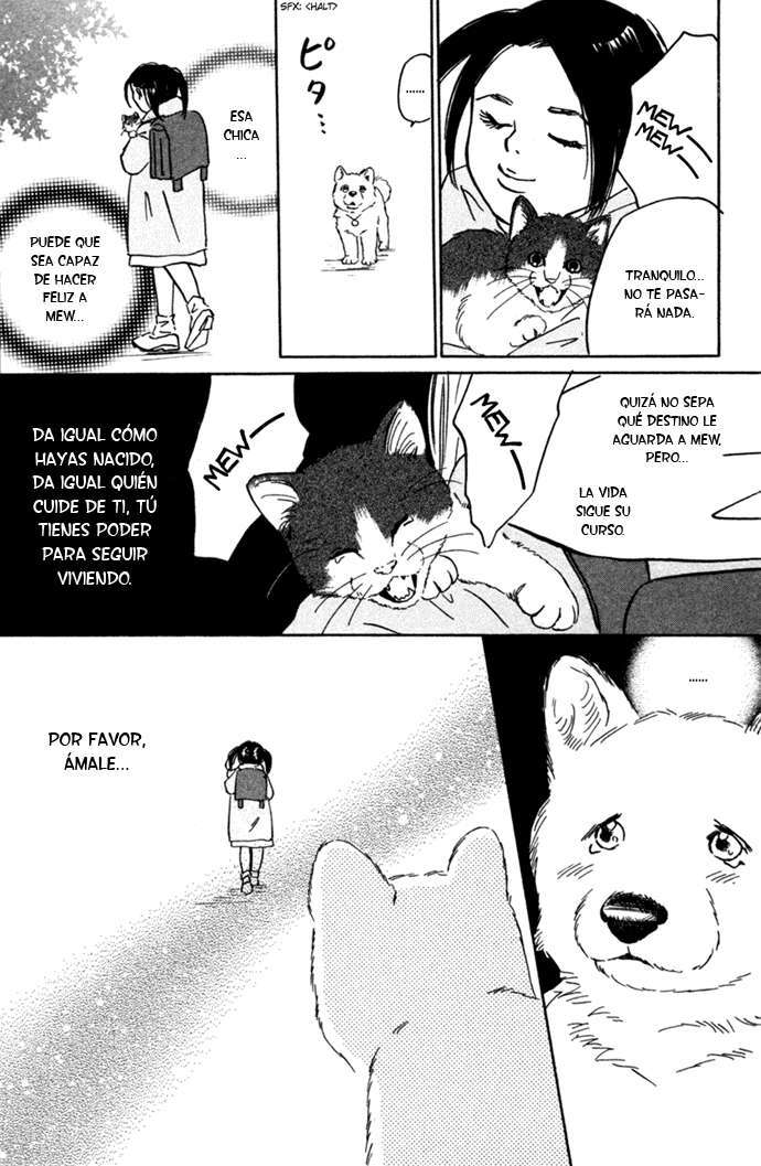 Capitulo 3 page 21
