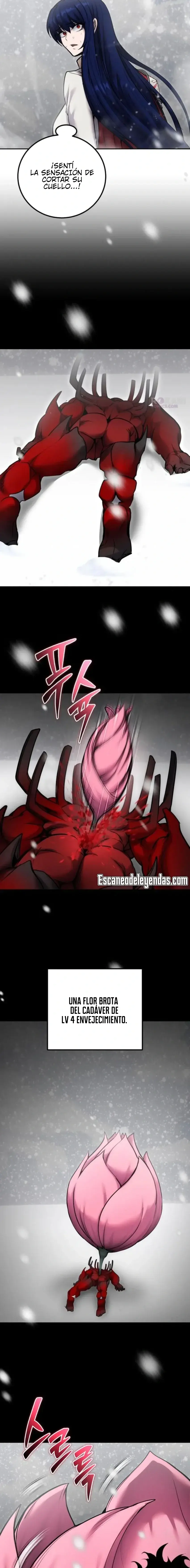 Capitulo 102 page 22
