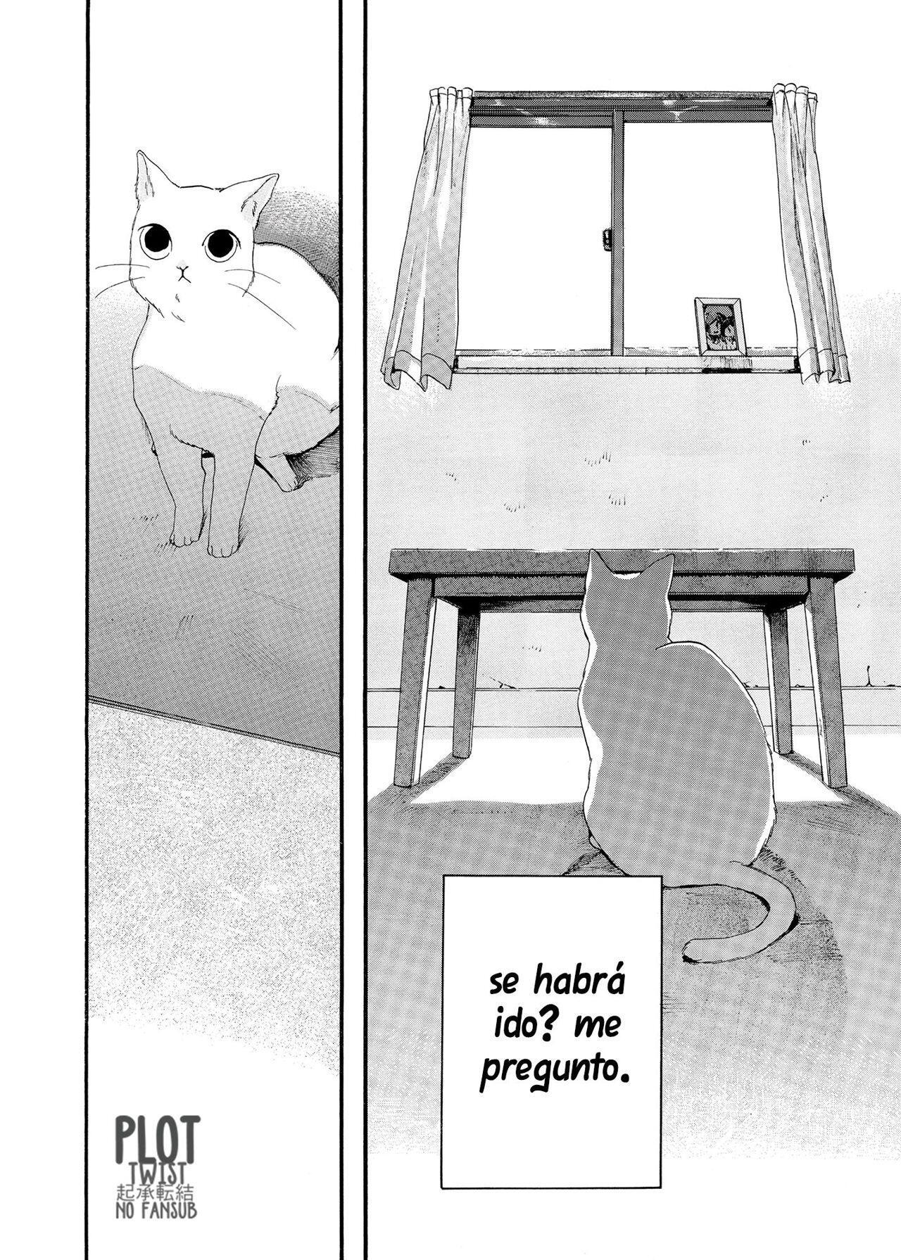 Capitulo 4 page 8