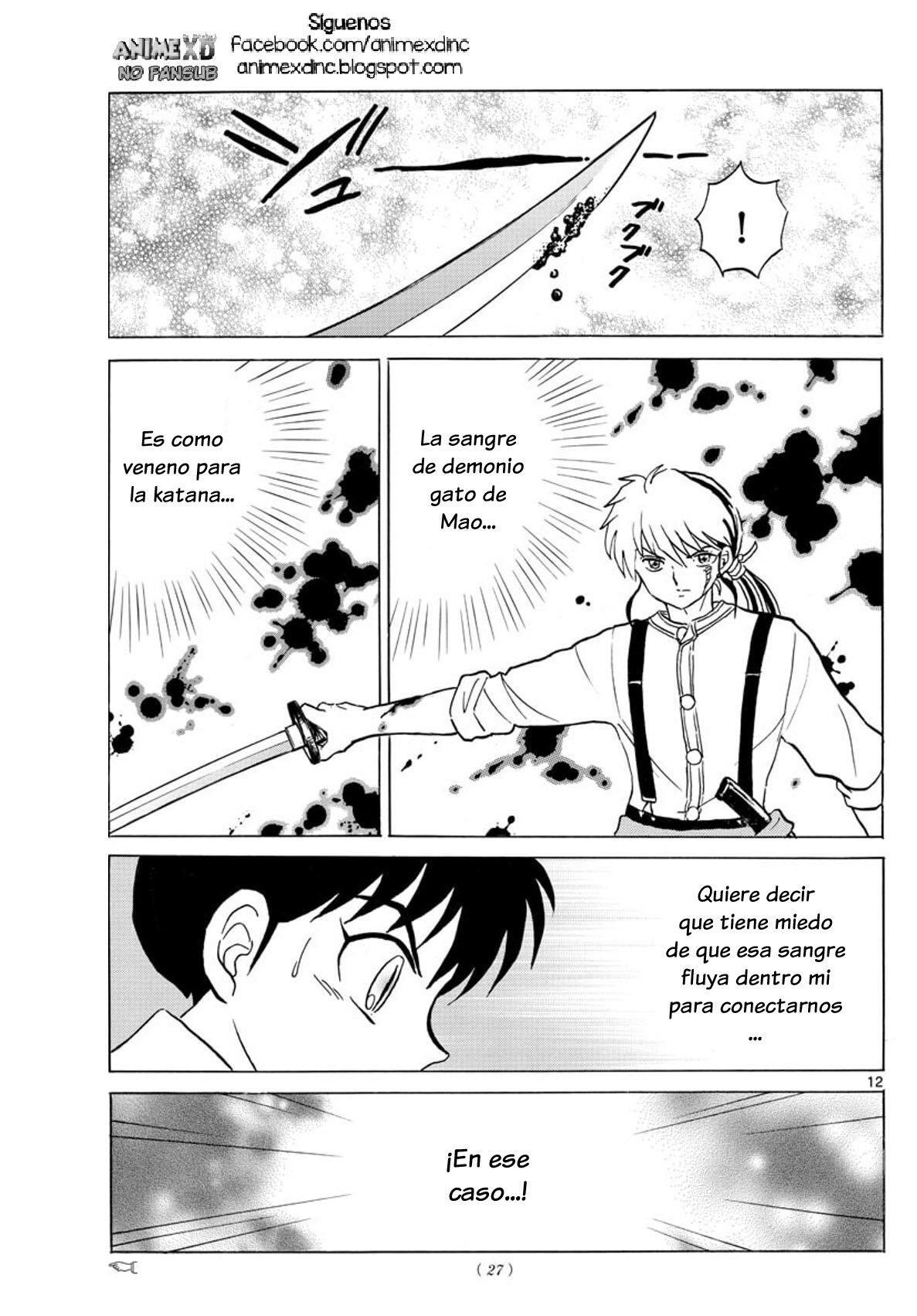 Capitulo 100 page 13
