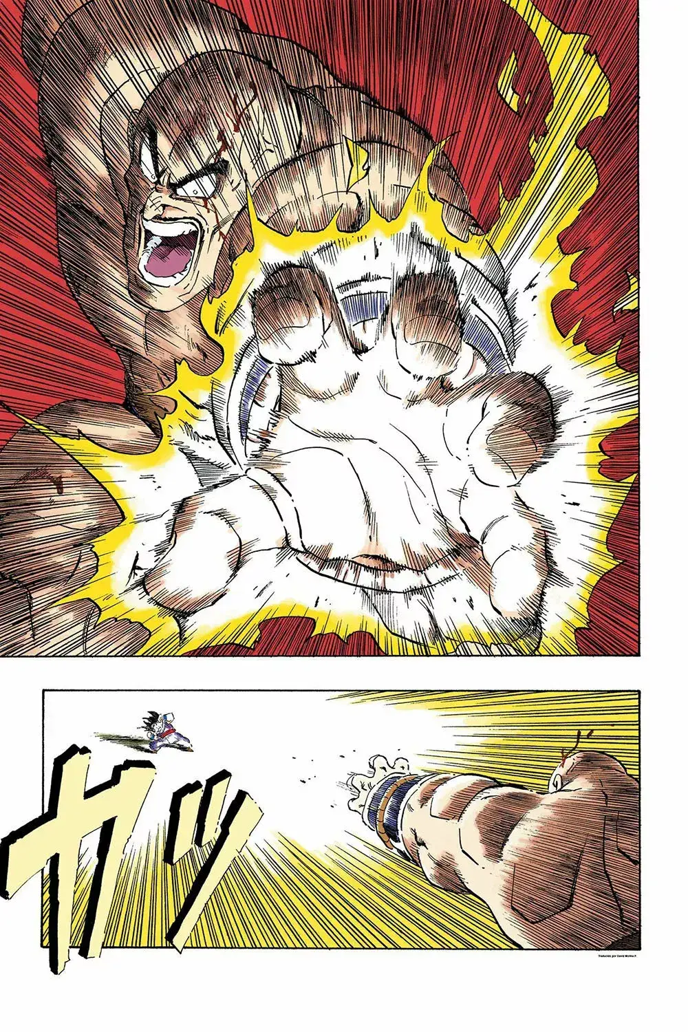 Capitulo 222 page 13