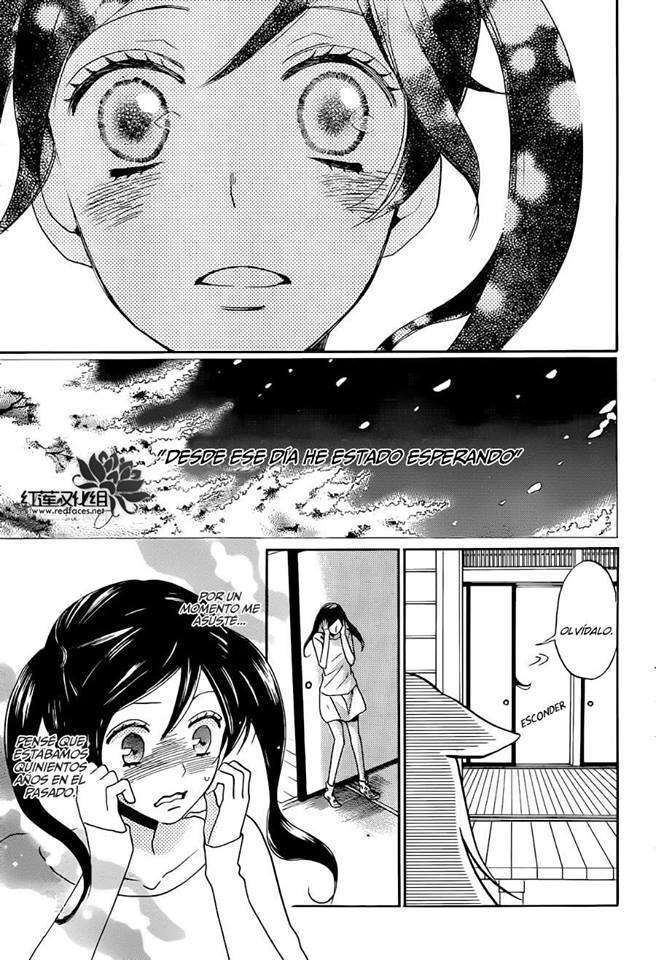 Capitulo 141 page 15
