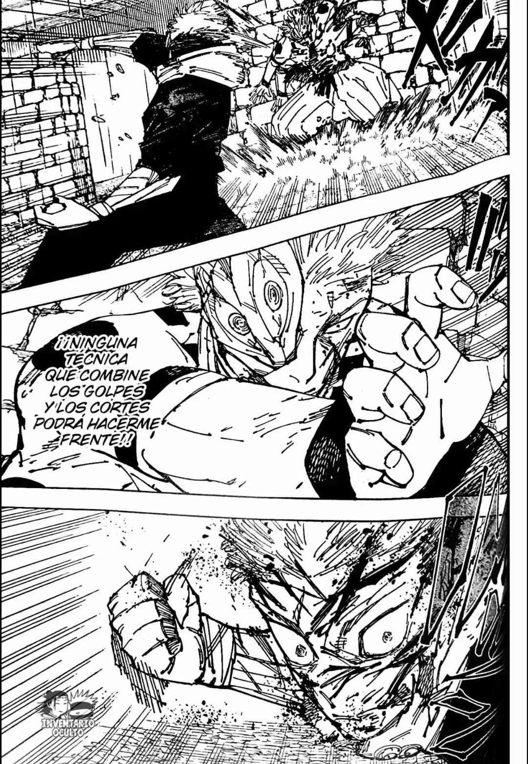 Capitulo 257 page 13