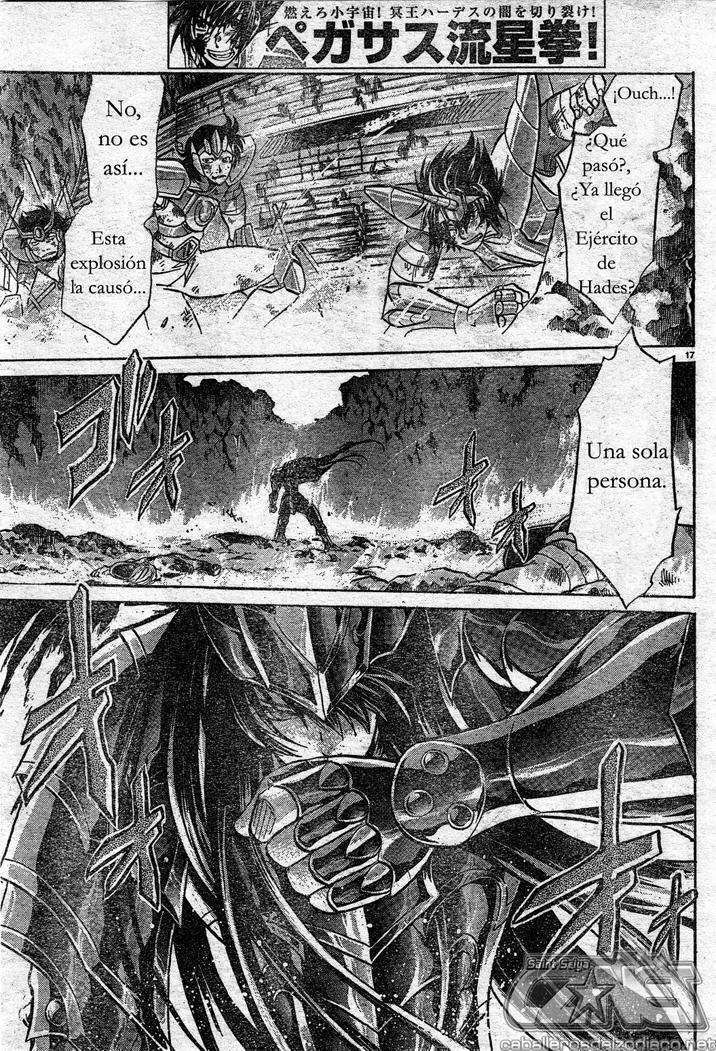 Capitulo 116 page 14