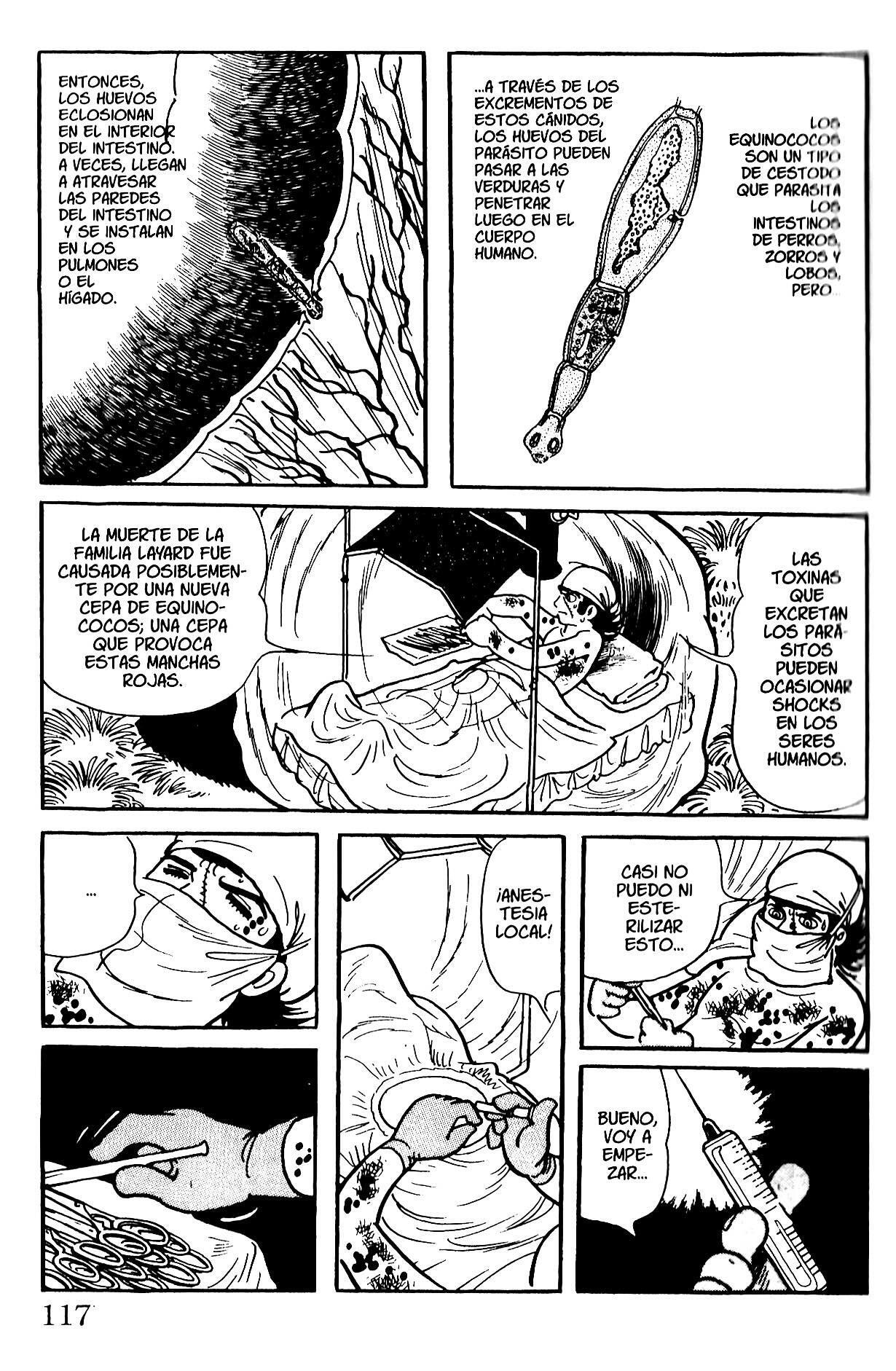 Capitulo 117 page 17