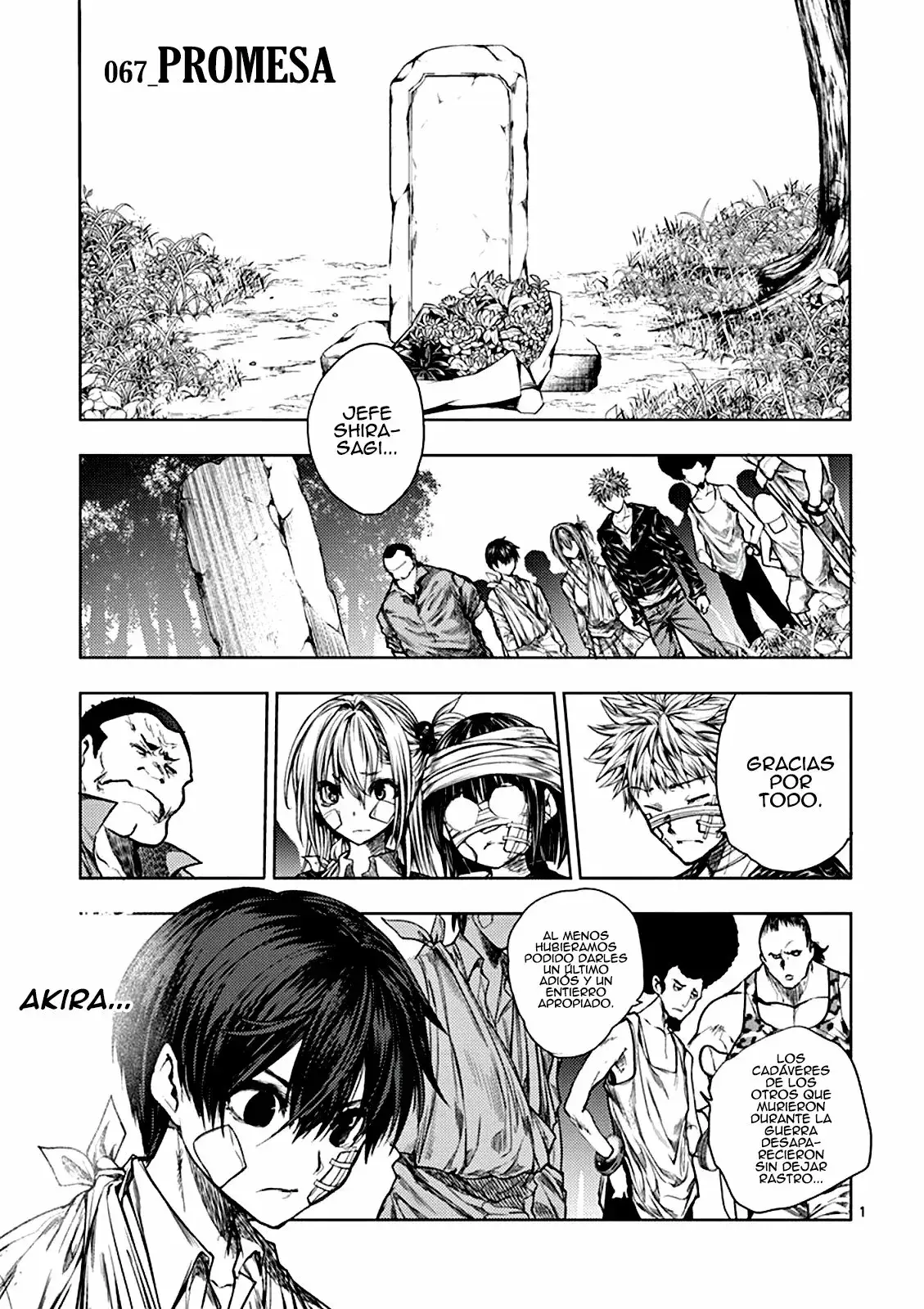 Capitulo 67 page 3