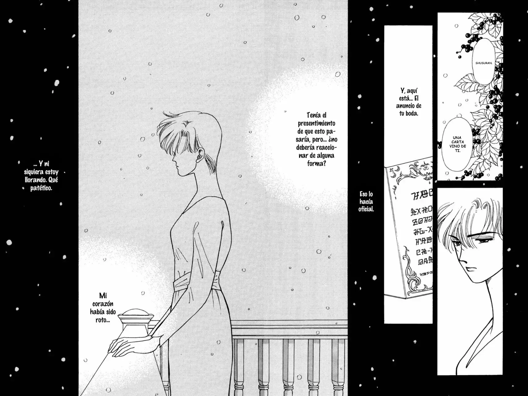 Capitulo 29 page 31