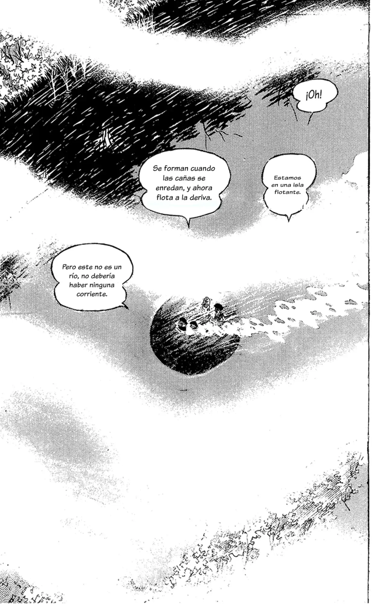 Capitulo 4 page 102