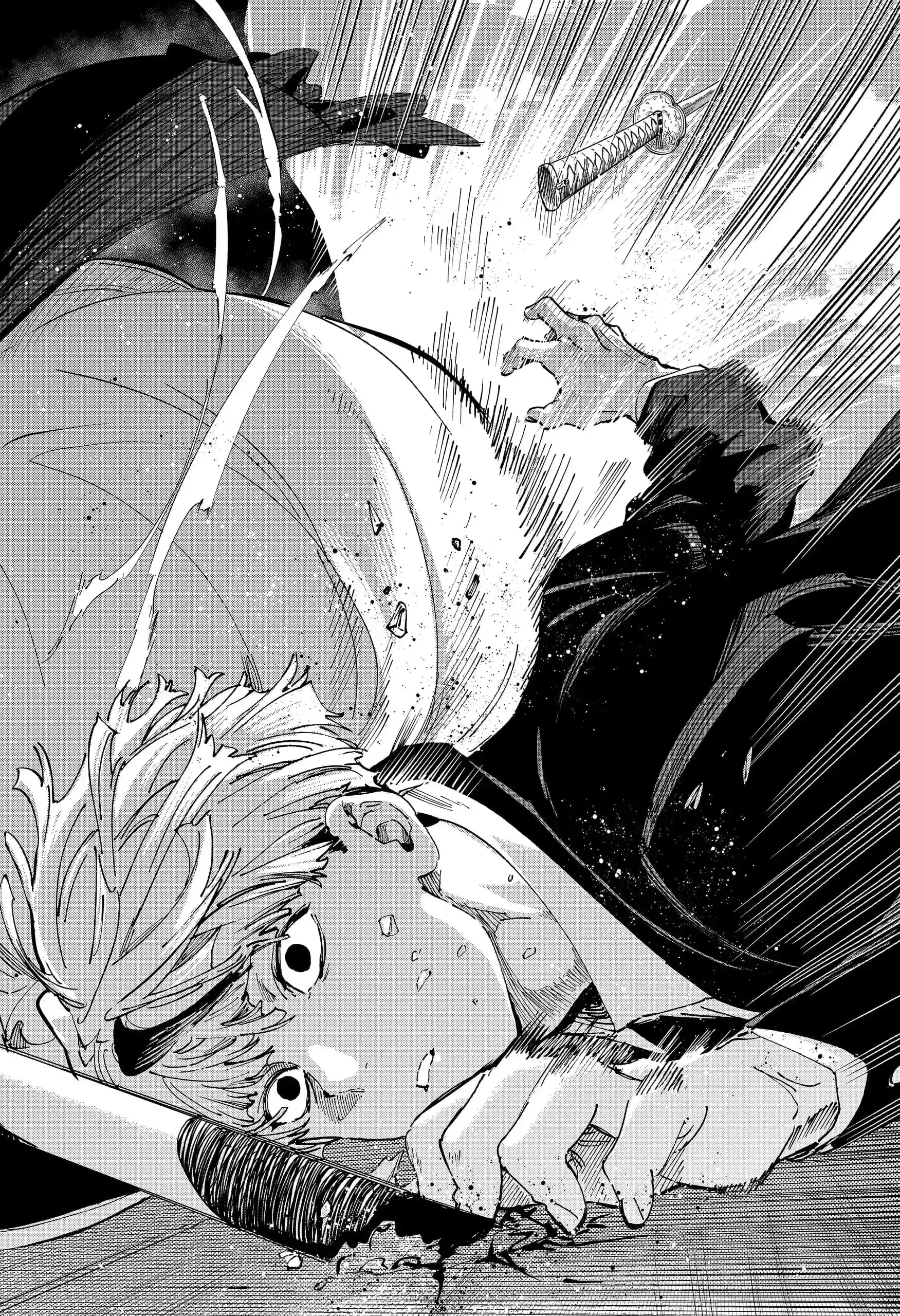 Capitulo 116 page 16