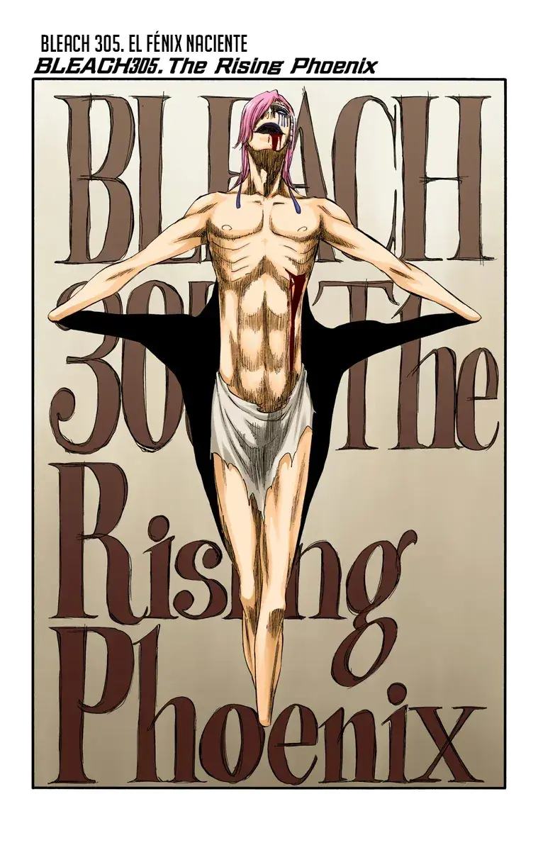 Capitulo 305 page 5