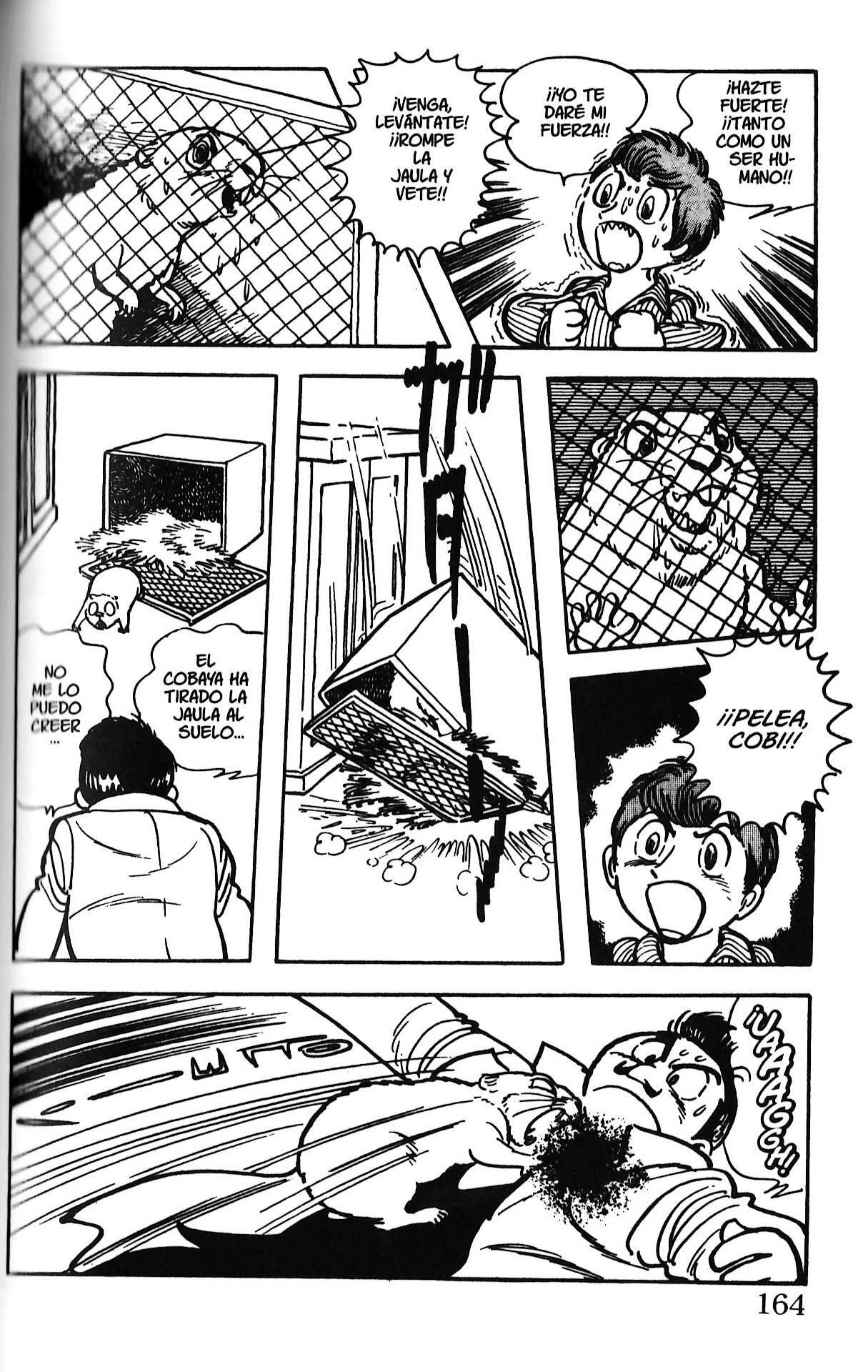 Capitulo 161 page 16