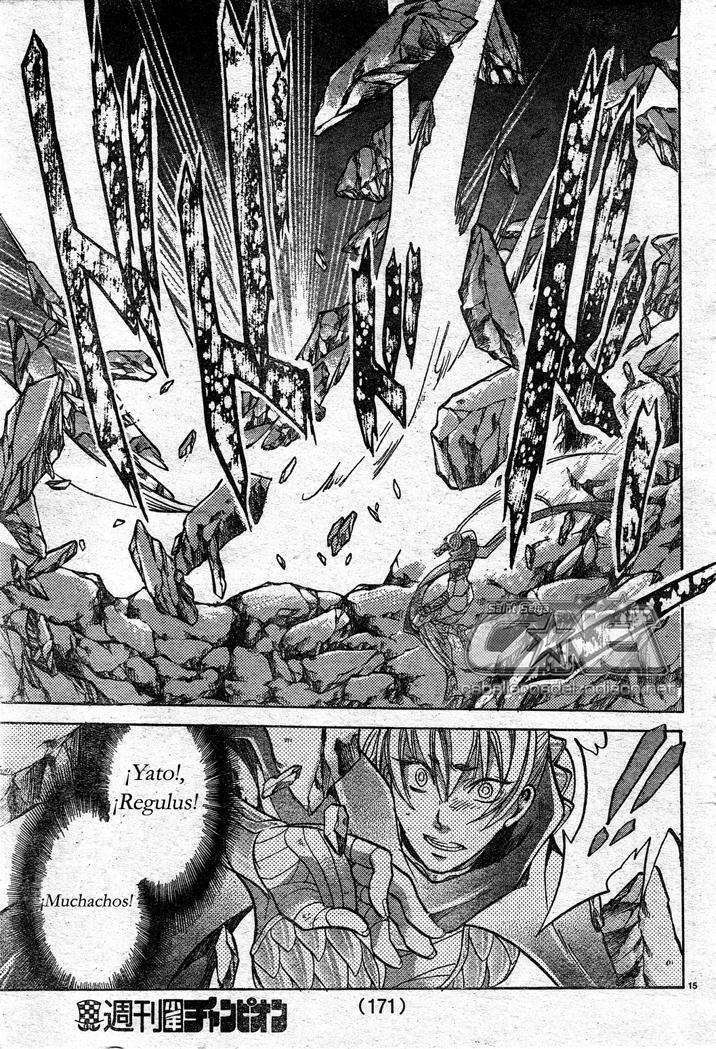 Capitulo 116 page 12