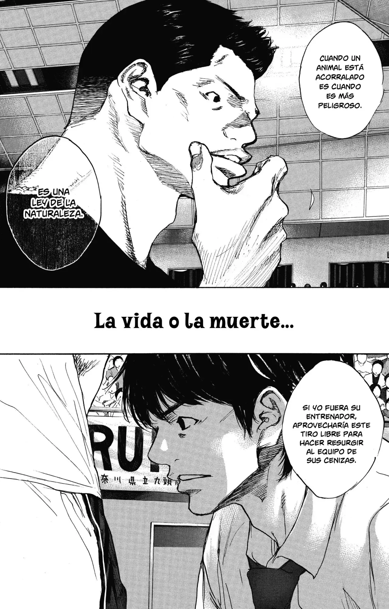 Capitulo 298.50 page 13