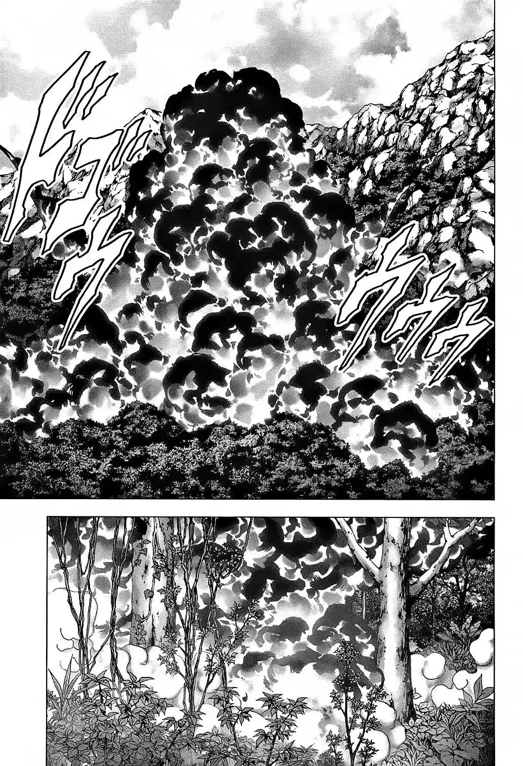 Capitulo 76 page 27