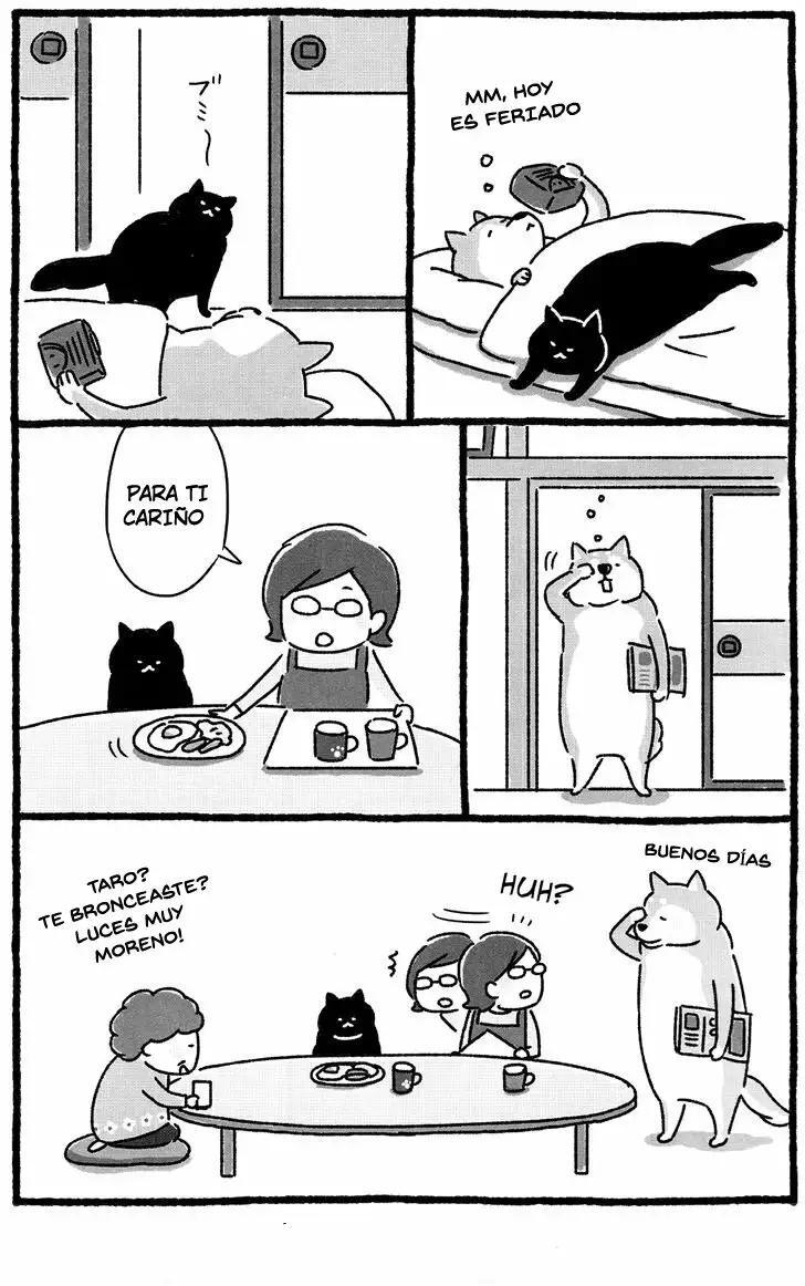 Capitulo 20 page 6