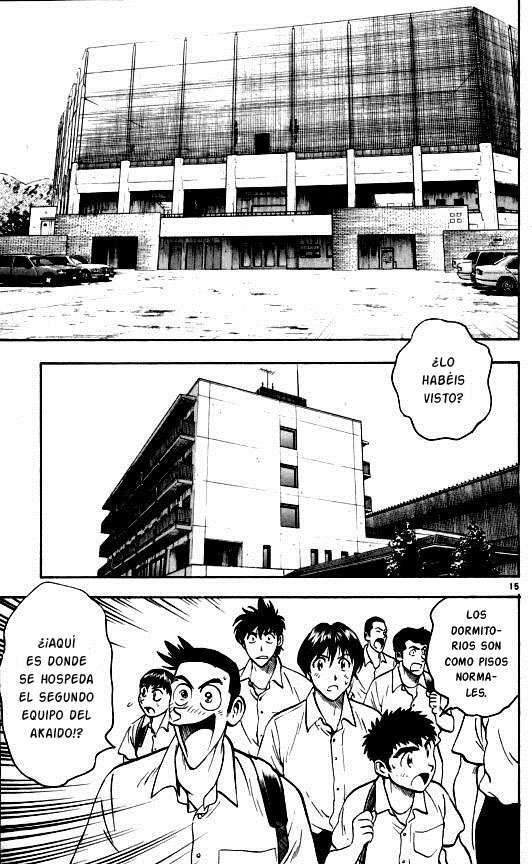 Capitulo 236 page 15