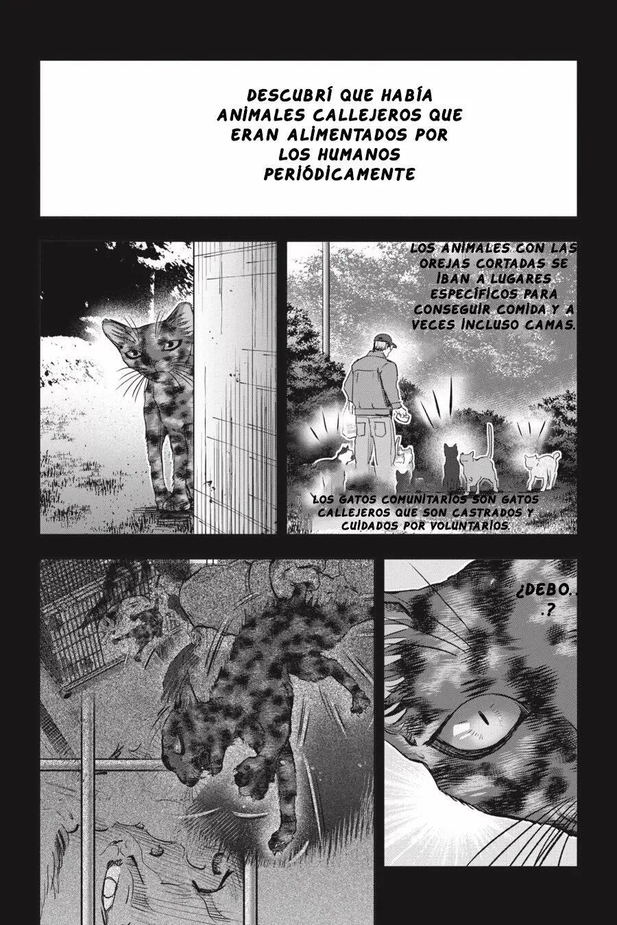 Capitulo 26 page 35