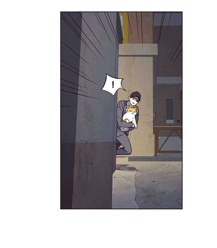 Capitulo 5 page 40