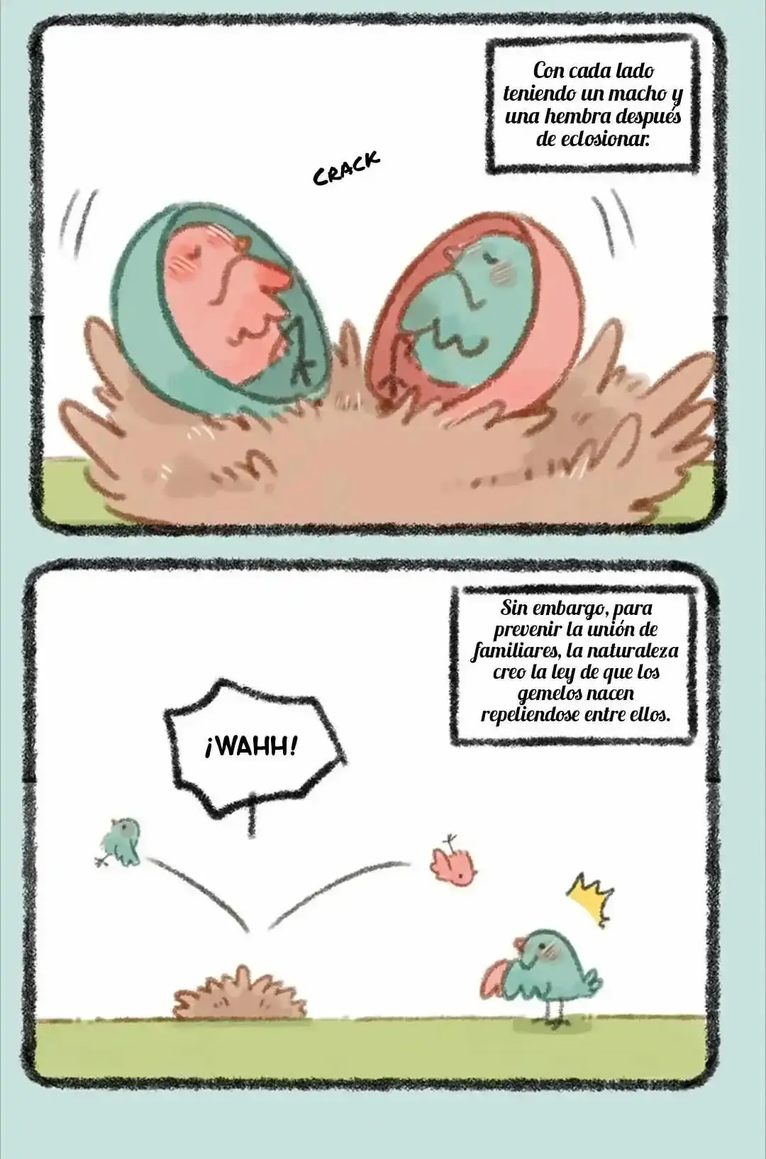 Capitulo 306 page 3