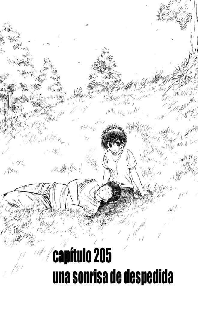 Capitulo 205 page 5