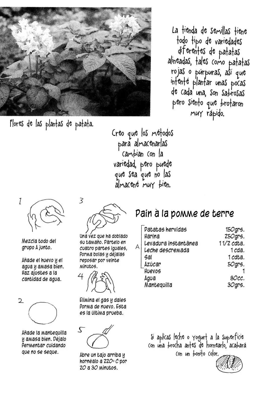 Capitulo 31 page 9