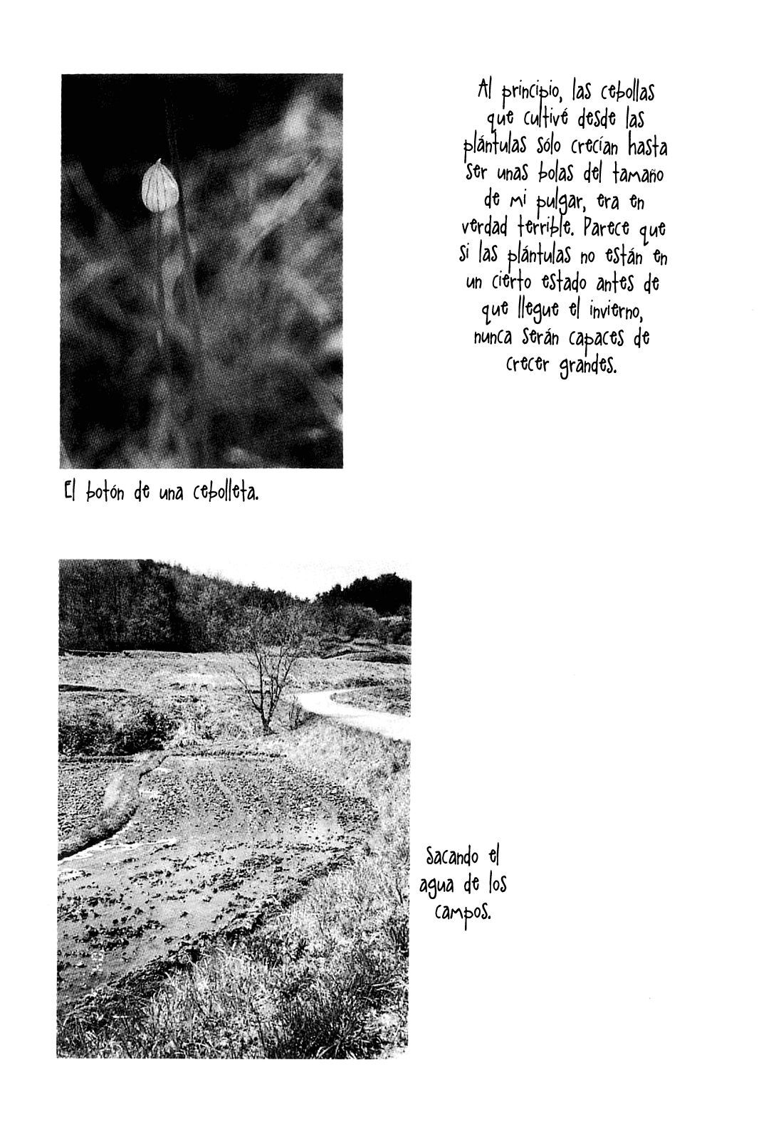 Capitulo 32 page 9