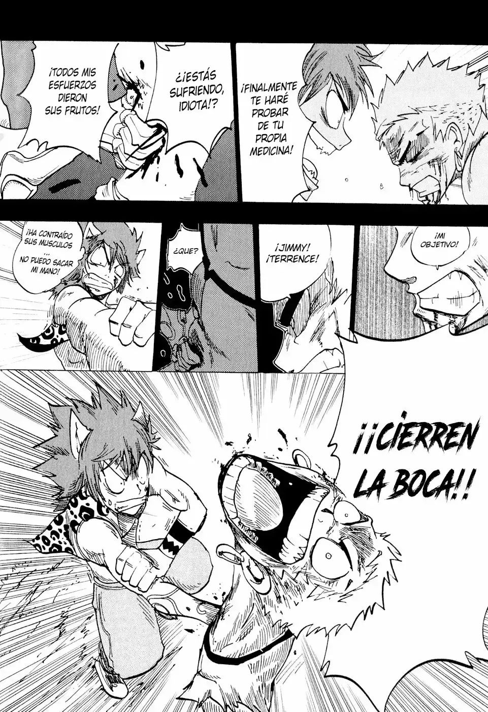 Capitulo 66 page 14
