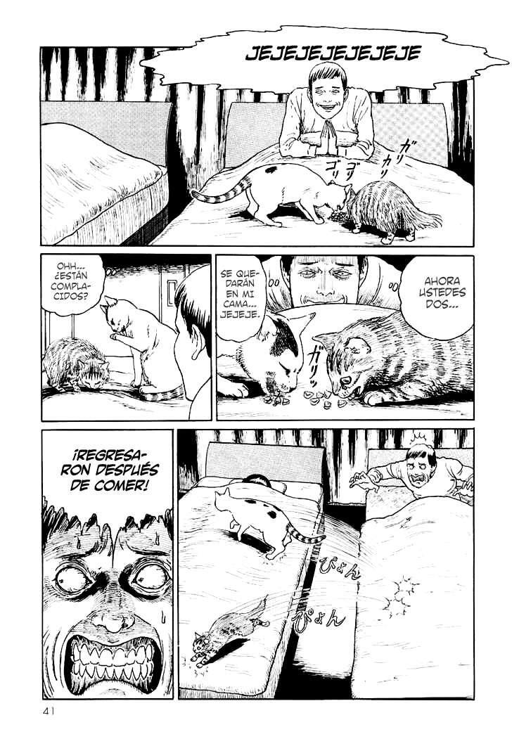 Capitulo 4 page 9
