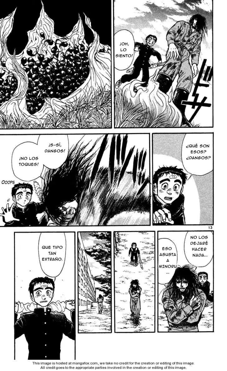 Capitulo 176 page 13