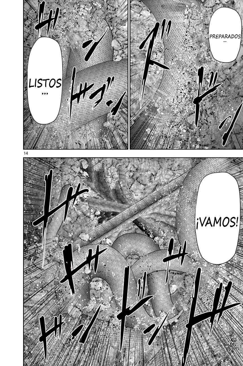 Capitulo 105 page 14