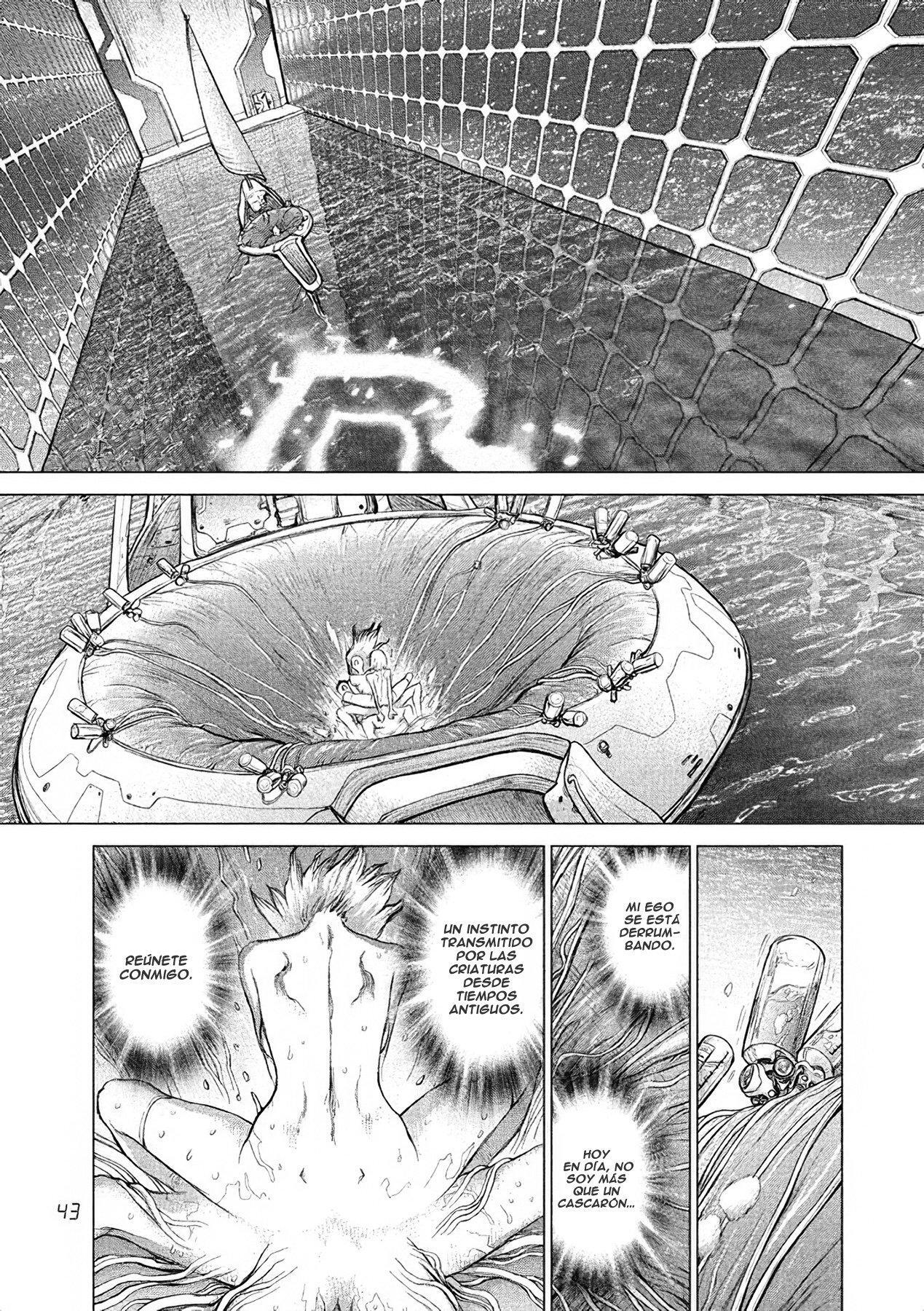 Capitulo 2 page 8