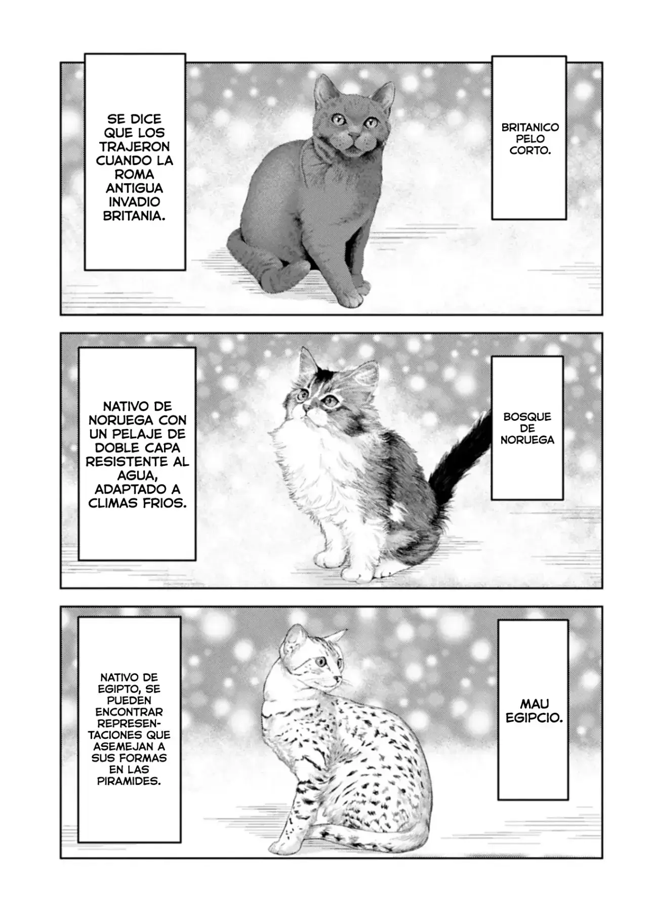 Capitulo 89 page 14