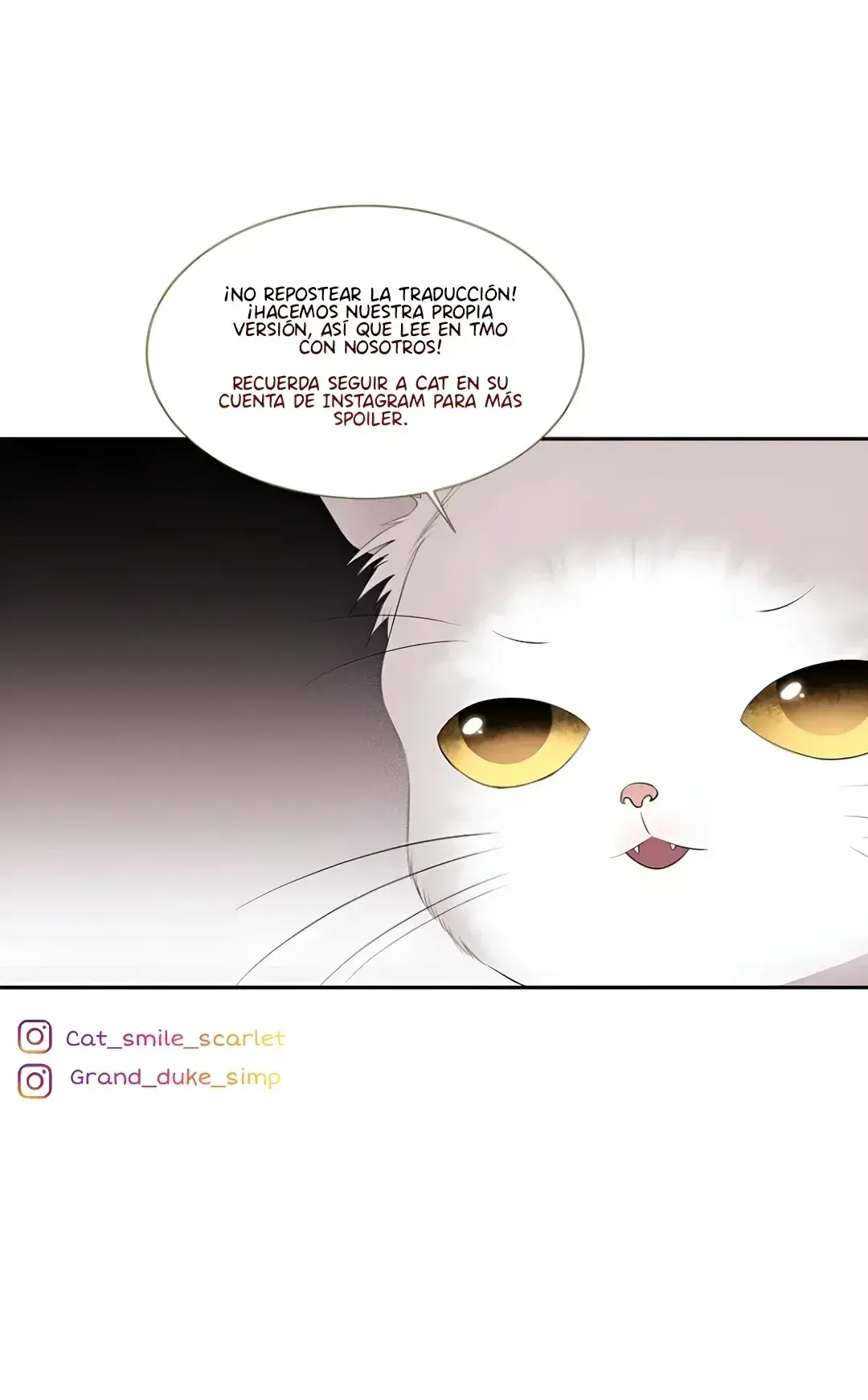 Capitulo 205 page 58