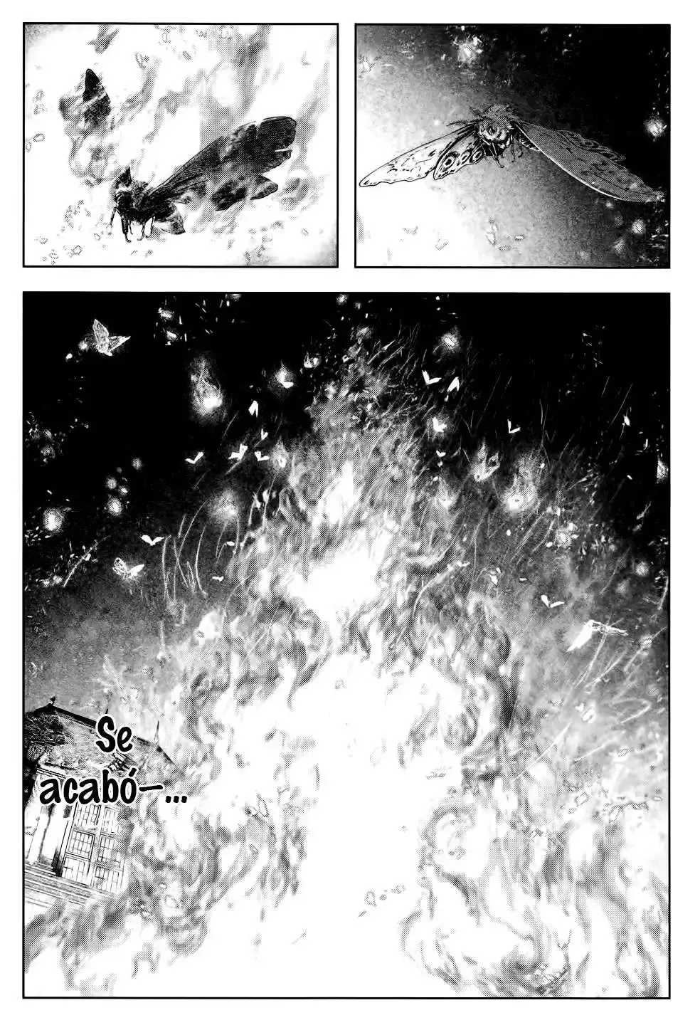 Capitulo 5 page 18
