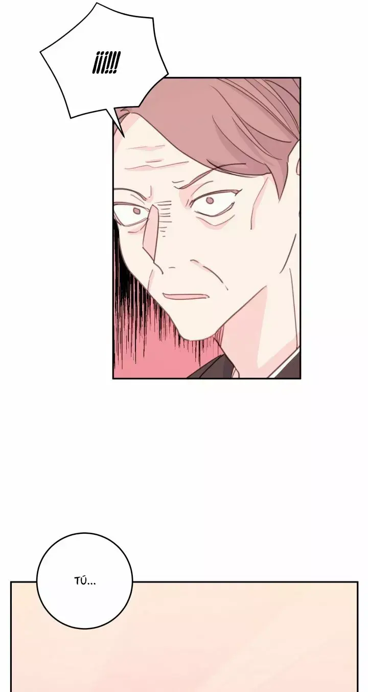 Capitulo 38 page 12